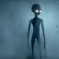 Ils sont venus d’ailleurs (et c’était nous)